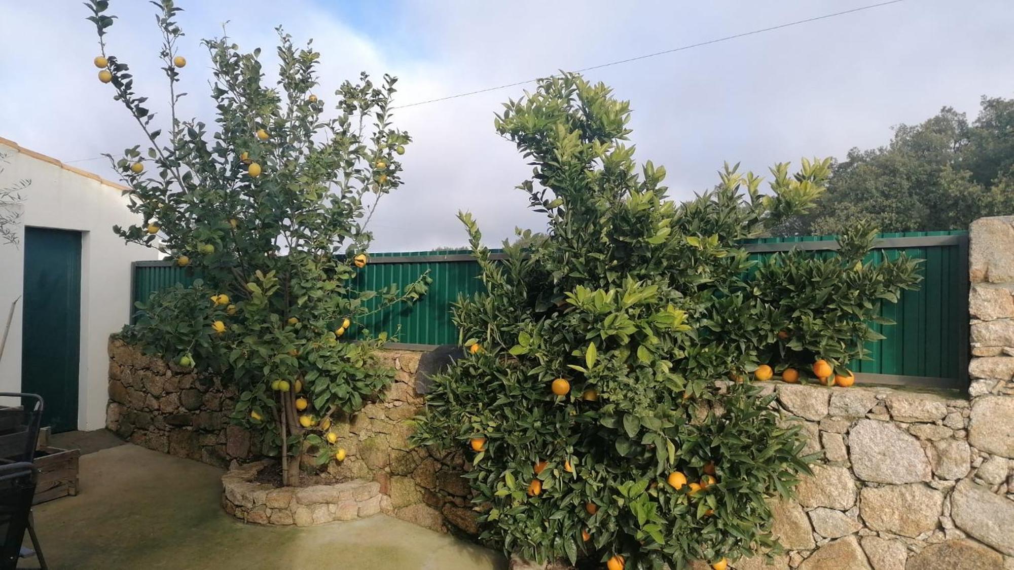 Вилла Casas De Marvao - Casa Do Ribeiro Экстерьер фото