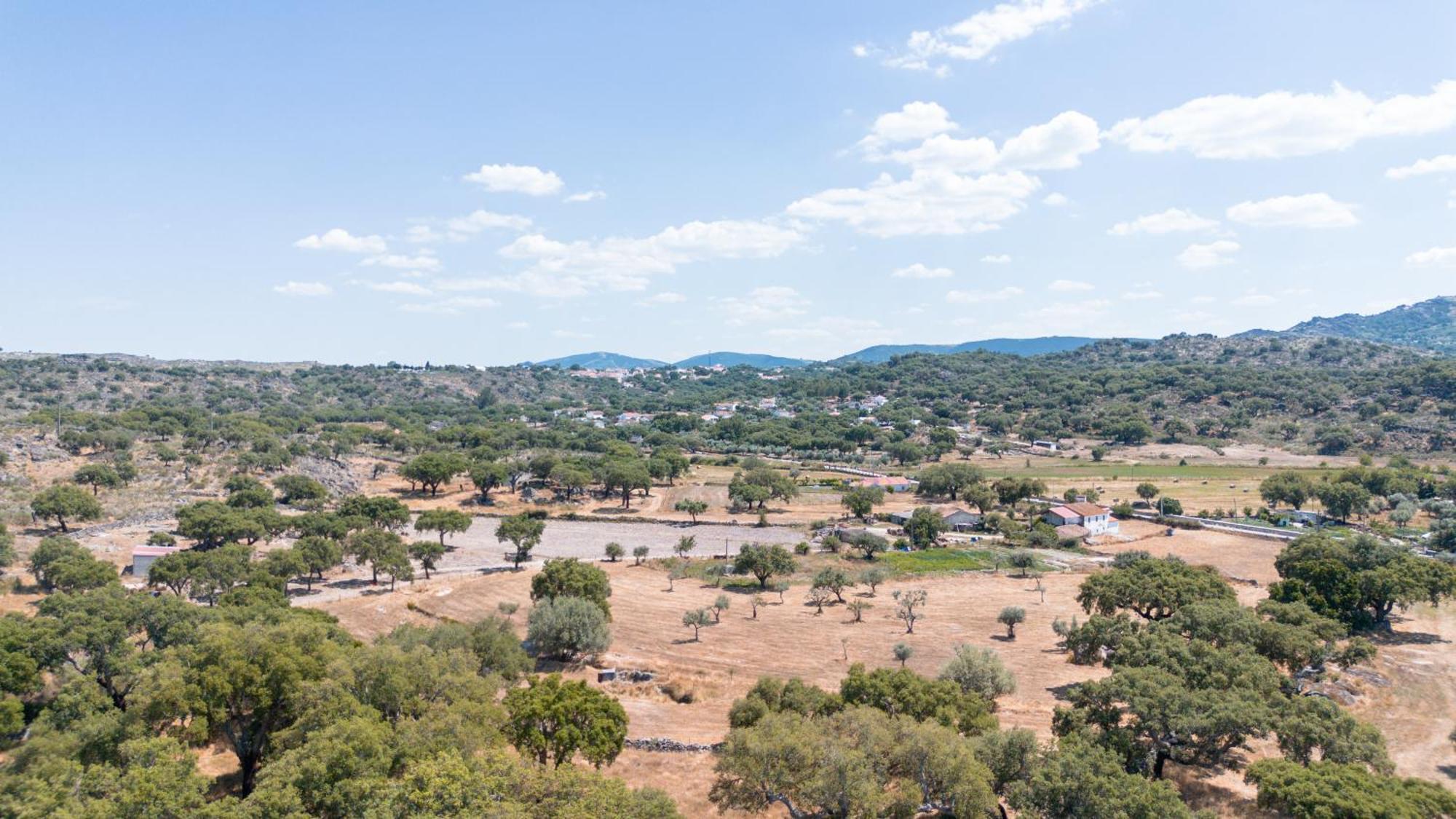 Вилла Casas De Marvao - Casa Do Ribeiro Экстерьер фото