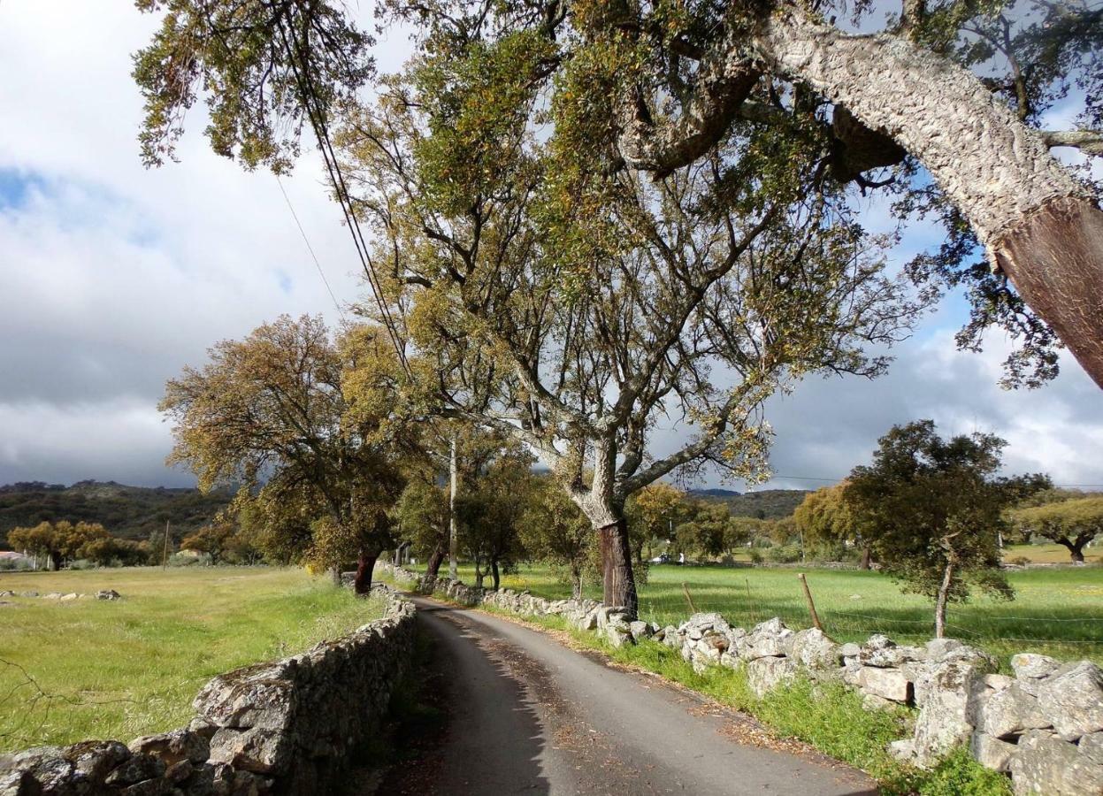 Вилла Casas De Marvao - Casa Do Ribeiro Экстерьер фото